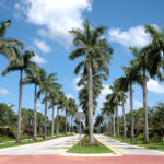 Pembroke Pines Scenery