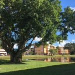 Lauderdale Oaks Condos