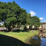 Lauderdale Oaks Condos