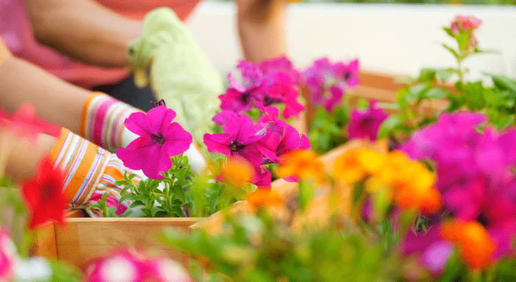 4 Things To Expect from the Spring Housing Market | Keeping Current Matters