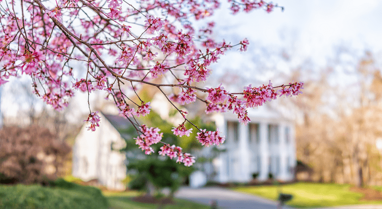 4 Ways To Make an Offer That Stands Out This Spring | Keeping Current Matters